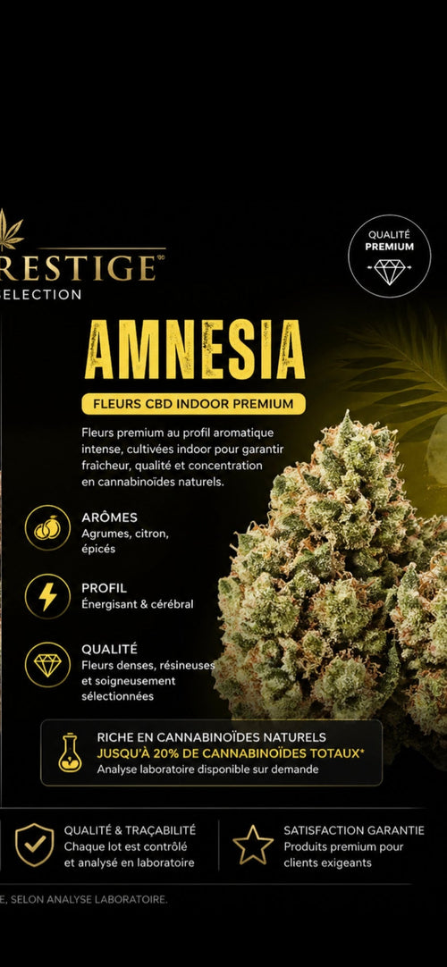 Edition N°1 ⚜️ :  NOTRE BEST-SELLER  – Fleurs d’Exception : Amnesia Haze USA🇱🇷