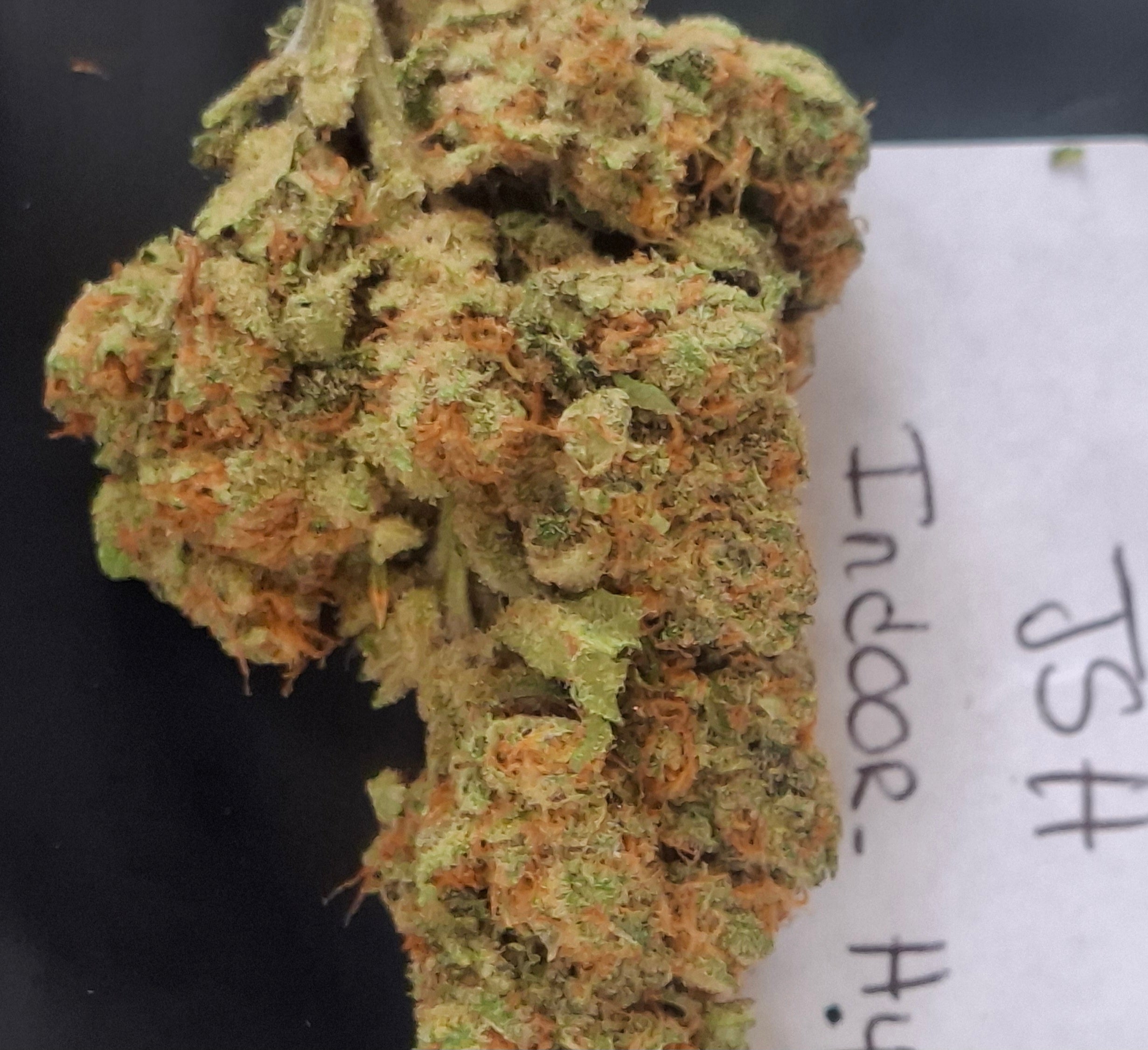 JSH INDOOR HYDRO | QUALITÉ PREMIUM