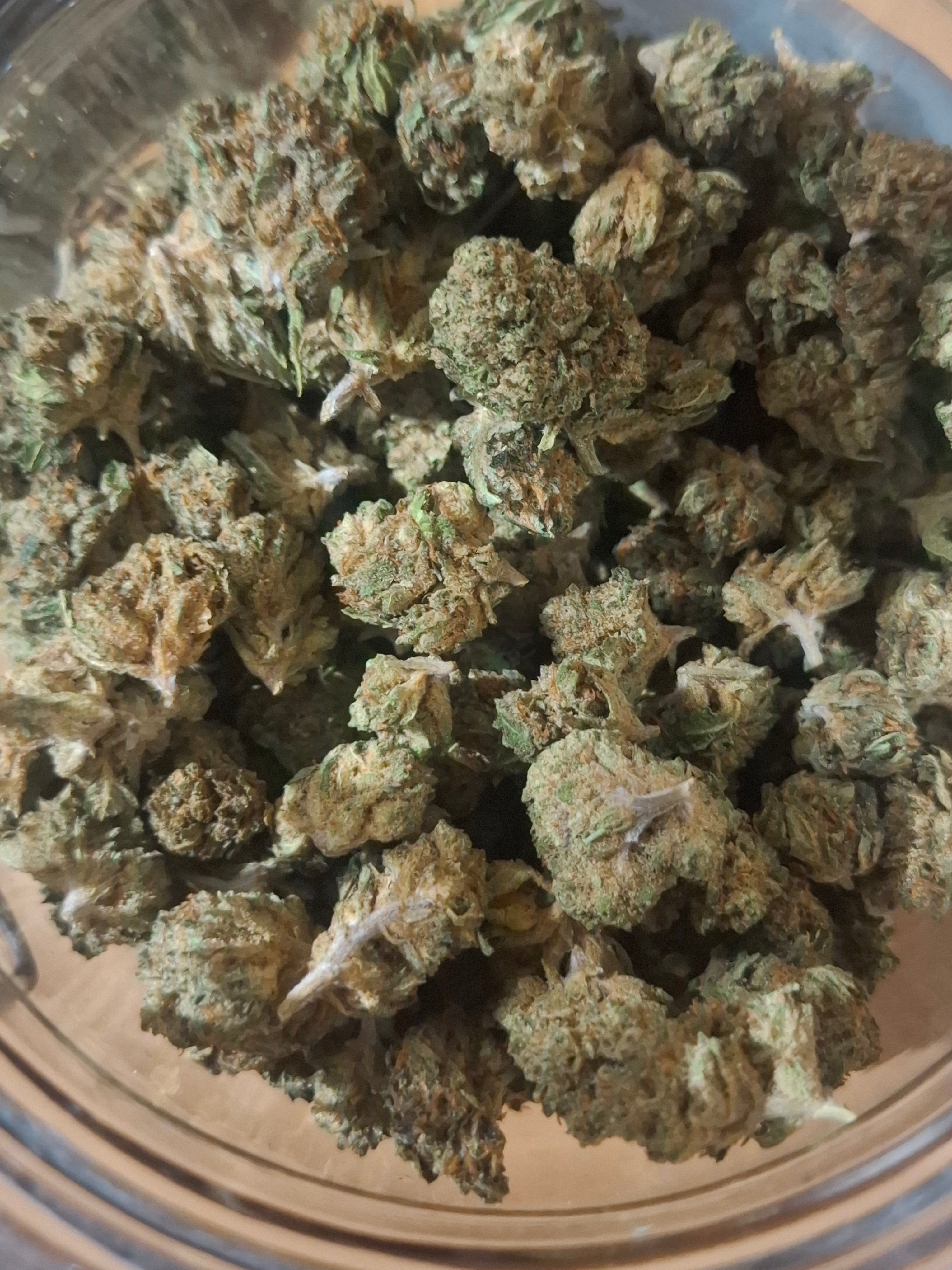 Edition N°1 ⚜️ :  NOTRE BEST-SELLER  – Fleurs d’Exception : Amnesia Haze USA🇱🇷