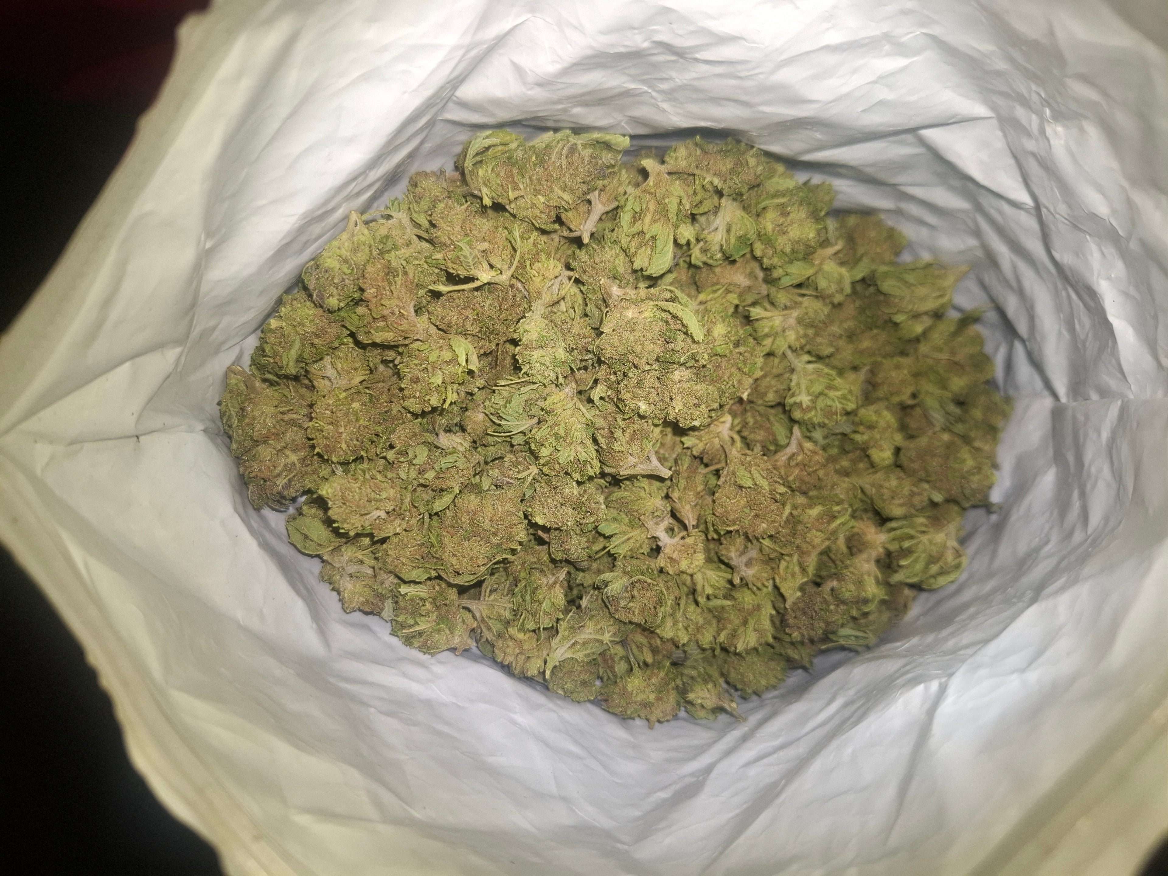 👉Edition N°1 ⚜️: Fleurs Greenhouse Premium – Qualité Supérieure OG Kush –  USA 🇺🇸