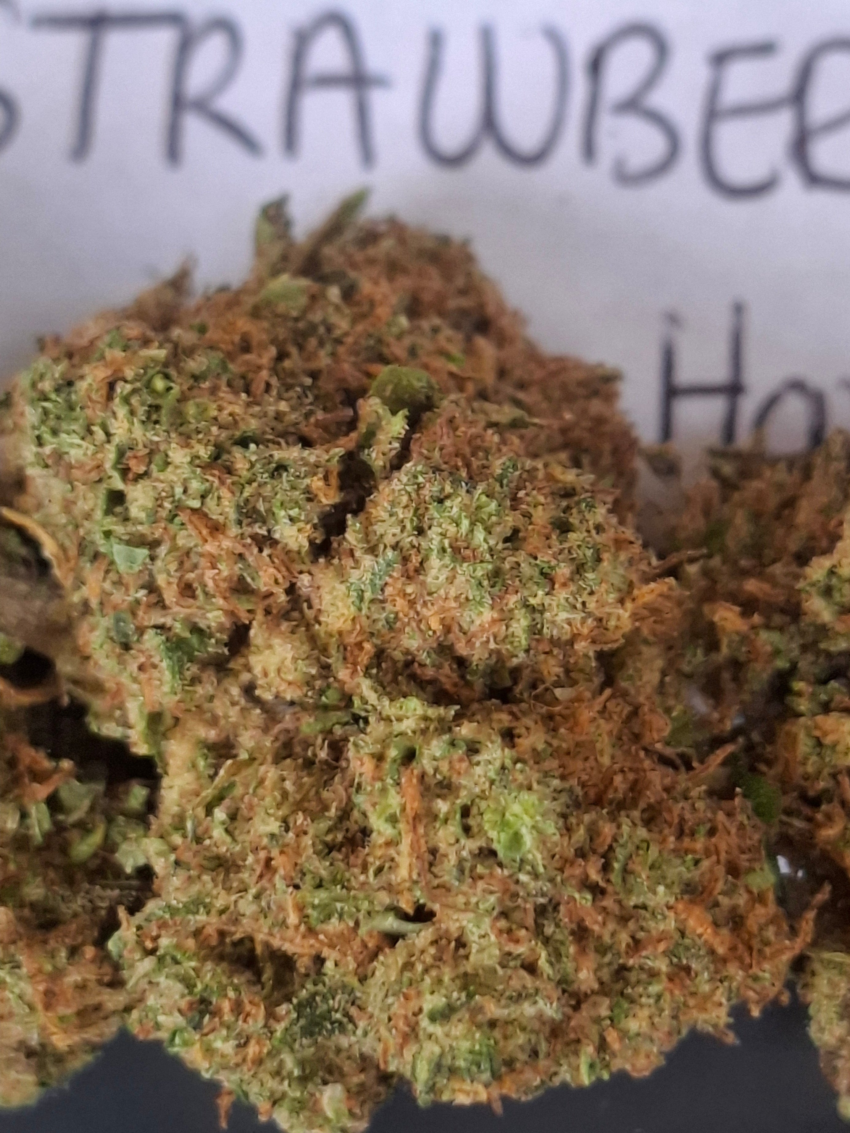 BERRY BIG BUD