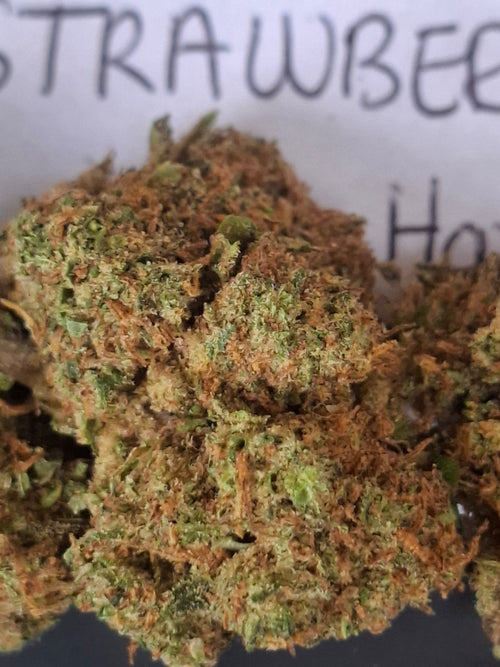 BERRY BIG BUD