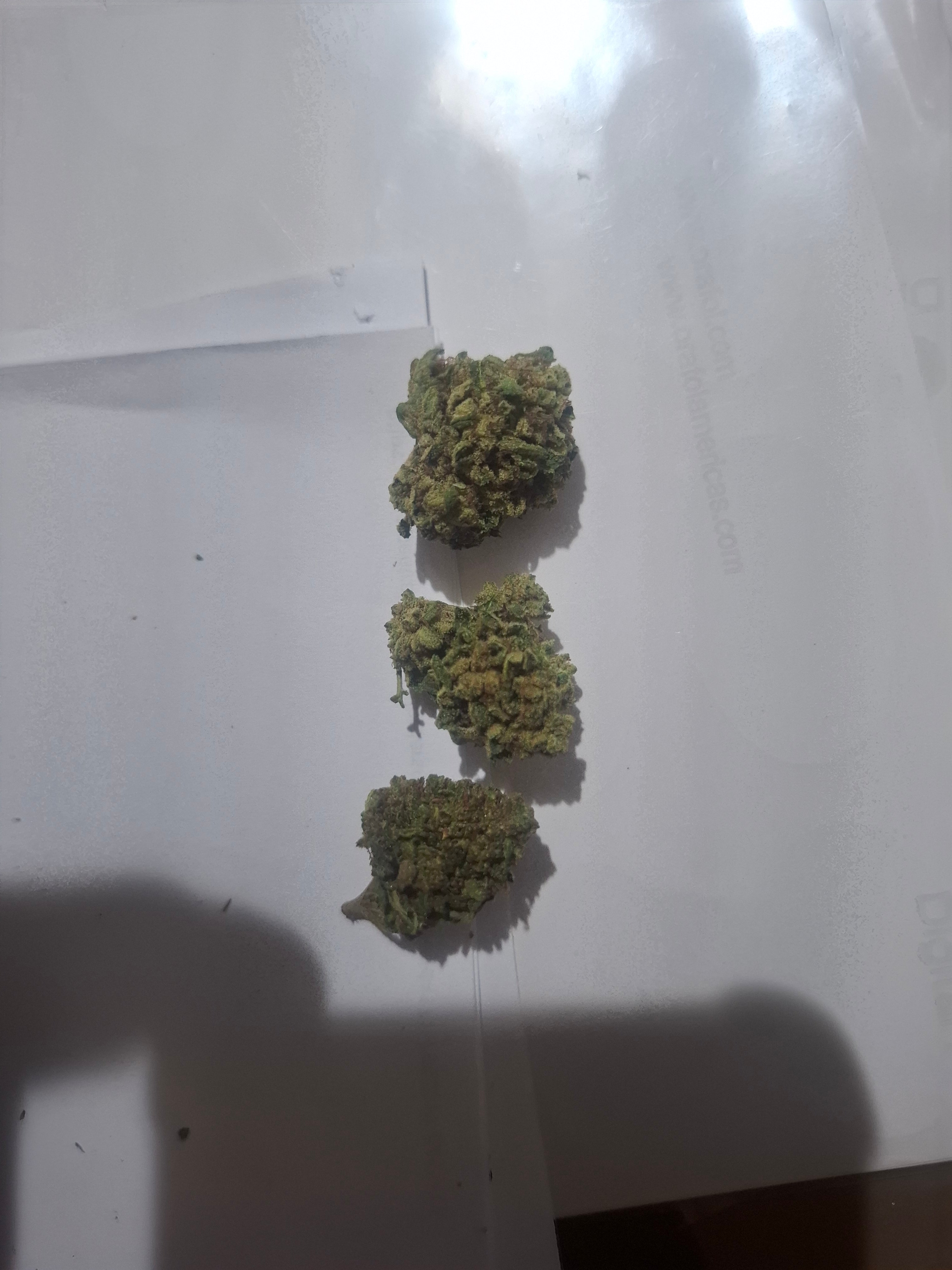 Edition N°1 ⚜️:     Fleurs Greenhouse Premium – Qualité Supérieure : SKYWALKER / USA
