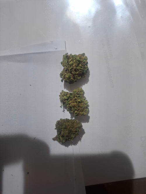 Edition N°1 ⚜️:     Fleurs Greenhouse Premium – Qualité Supérieure : SKYWALKER / USA
